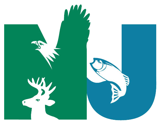 NJDEP logo